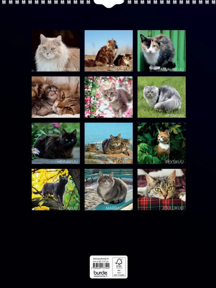 Burde Seinakalenteri 2024 Kissat