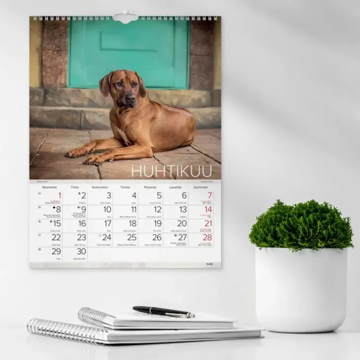 Burde Seinakalenteri 2024 Koirat
