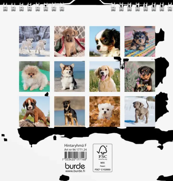 Burde Seinakalenteri 2024 Koiranpennut