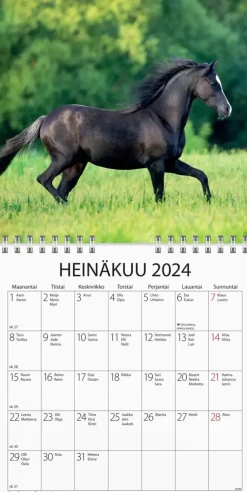 Burde Seinakalenteri 2024 Ponit