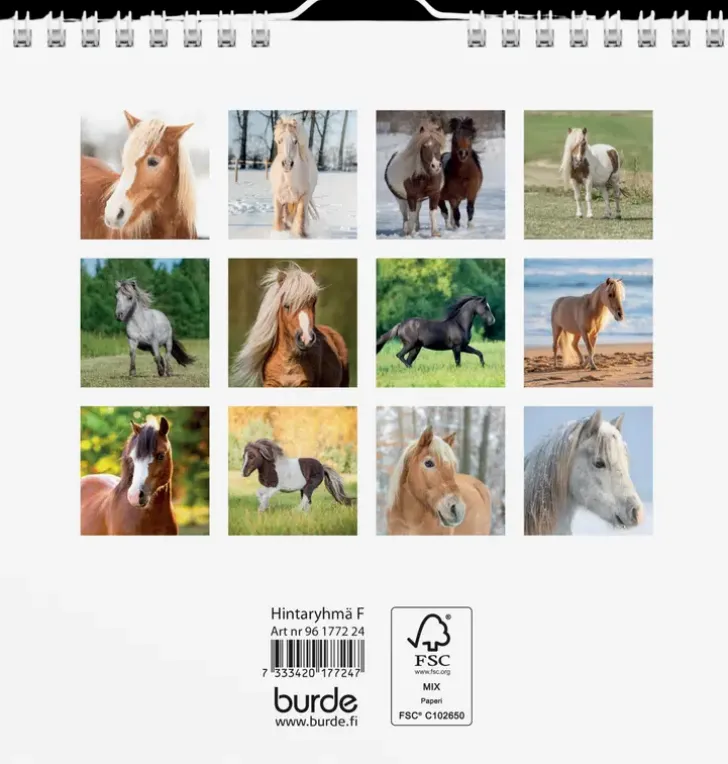 Burde Seinakalenteri 2024 Ponit