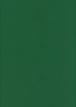 Karto Kartonki A4 220Gsm Ruohon Vihrea 5Ark/Pss