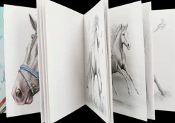 Miss Melody Special Varityskirja