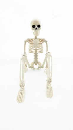 Roikkuva Luuranko 40Cm