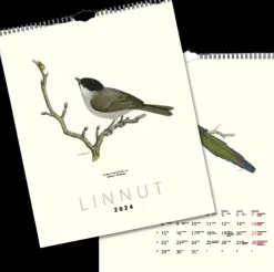 Seinakalenteri Linnut Von Wright 2024